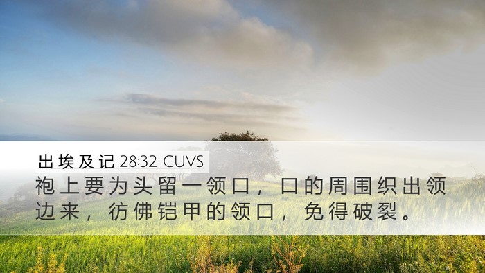 出 埃 及 记 28:32 CUVS Desktop Wallpaper - 袍 上 要 为 头 留 一 领 口 ， 口 的 - Desktop Bible Verse Wallpaper