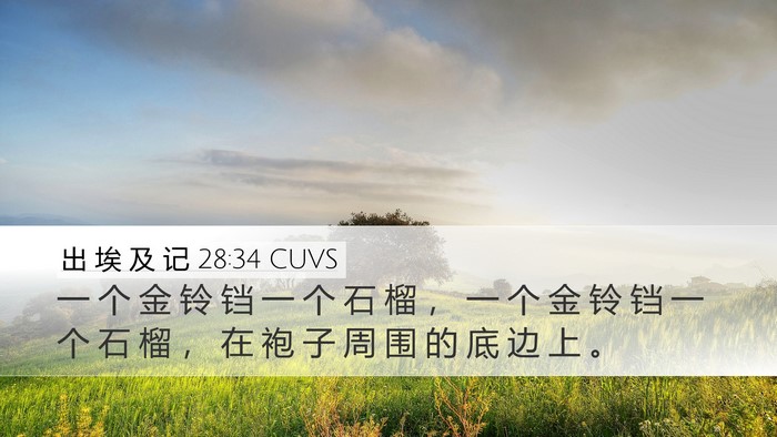 出 埃 及 记 28:34 CUVS Bible Verse Image