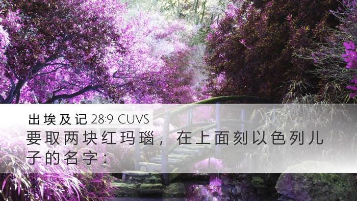 出 埃 及 记 28:9 CUVS Bible Verse Image