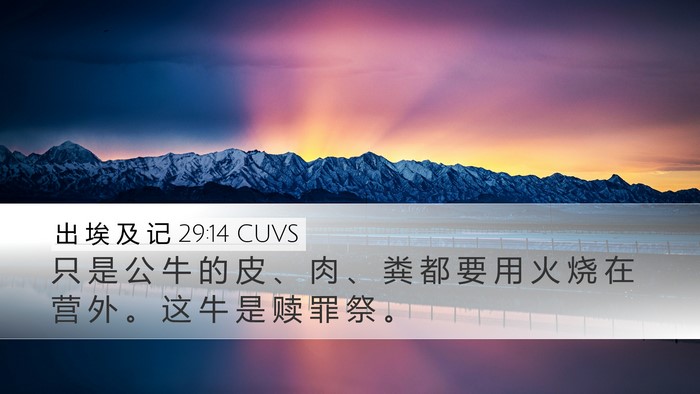 出 埃 及 记 29:14 CUVS Bible Verse Image