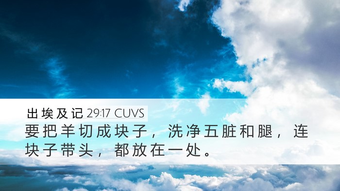 出 埃 及 记 29:17 CUVS Bible Verse Image