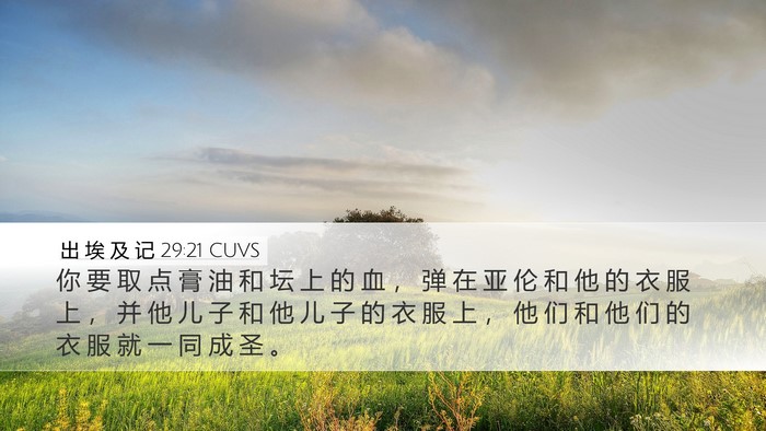 出 埃 及 记 29:21 CUVS Bible Verse Image