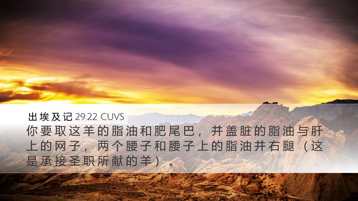 出 埃 及 记 29:22 CUVS Bible Verse Image