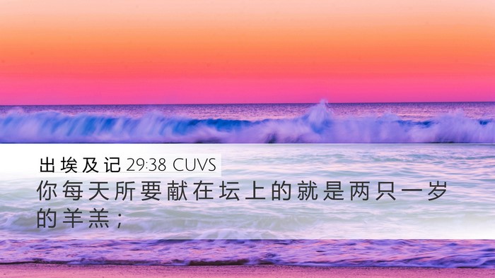 出 埃 及 记 29:38 CUVS Bible Verse Image