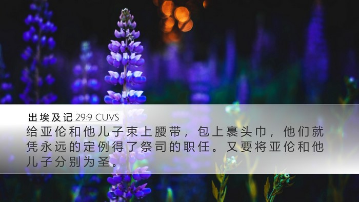 出 埃 及 记 29:9 CUVS Bible Verse Image