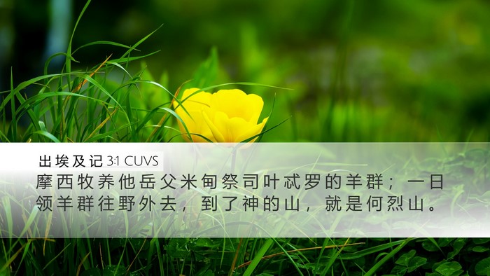 出 埃 及 记 3:1 CUVS Bible Verse Image