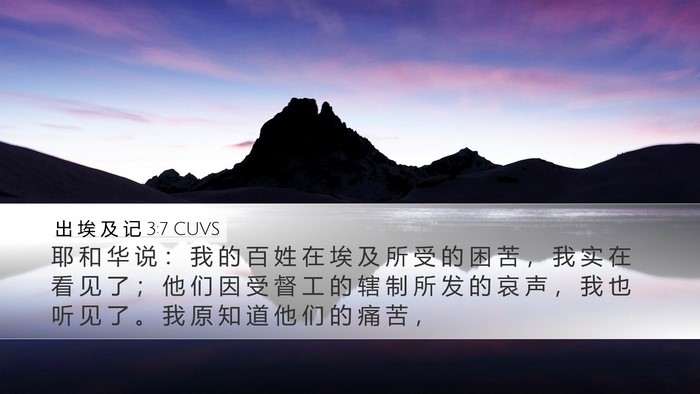 出 埃 及 记 3:7 CUVS Bible Verse Image