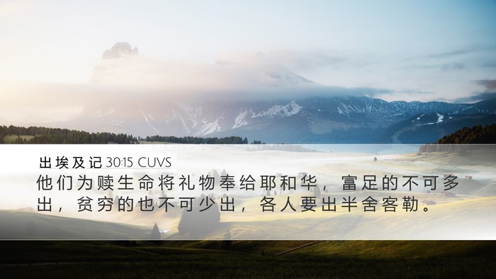 出 埃 及 记 30:15 CUVS Bible Verse Image
