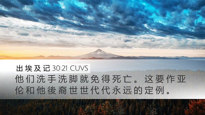 出 埃 及 记 30:21 CUVS Desktop Wallpaper - 他 们 洗 手 洗 脚 就 免 得 死 亡 。 - Desktop Bible Verse Wallpaper