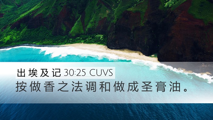 出 埃 及 记 30:25 CUVS Bible Verse Image
