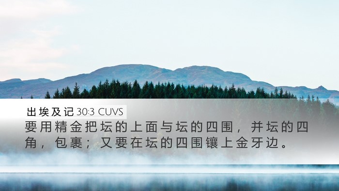 出 埃 及 记 30:3 CUVS Desktop Wallpaper - 要 用 精 金 把 坛 的 上 面 与 坛 的 - Desktop Bible Verse Wallpaper