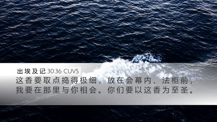 出 埃 及 记 30:36 CUVS Bible Verse Image