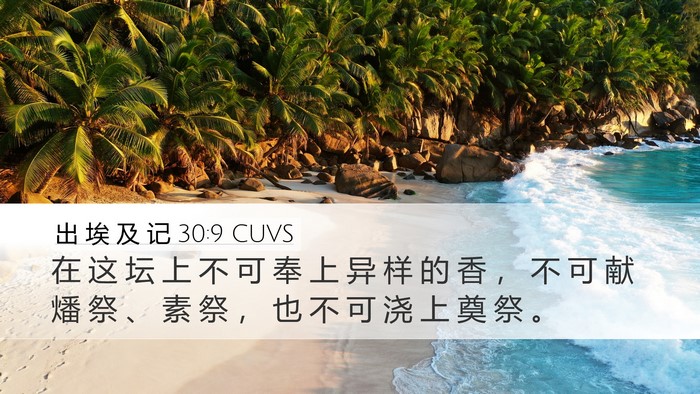 出 埃 及 记 30:9 CUVS Bible Verse Image