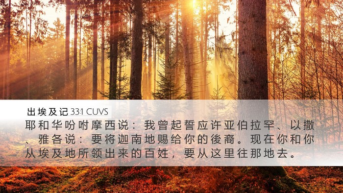 出 埃 及 记 33:1 CUVS Bible Verse Image