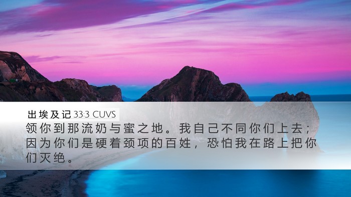 出 埃 及 记 33:3 CUVS Bible Verse Image