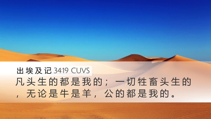 出 埃 及 记 34:19 CUVS Bible Verse Image