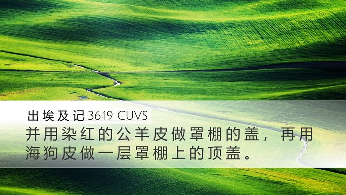 出 埃 及 记 36:19 CUVS Bible Verse Image