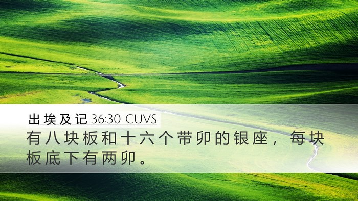 出 埃 及 记 36:30 CUVS Desktop Wallpaper - 有 八 块 板 和 十 六 个 带 卯 的 银 - Desktop Bible Verse Wallpaper