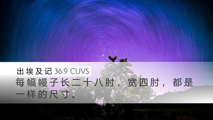 出 埃 及 记 36:9 CUVS Desktop Wallpaper - 每 幅 幔 子 长 二 十 八 肘 ， 宽 四 - Desktop Bible Verse Wallpaper
