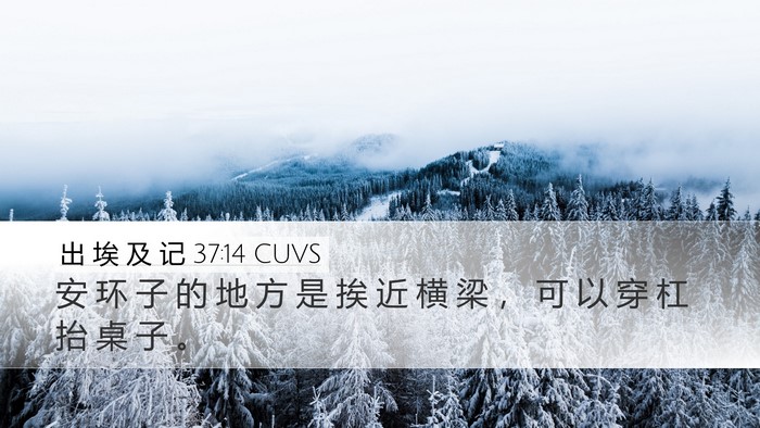 出 埃 及 记 37:14 CUVS Desktop Wallpaper - 安 环 子 的 地 方 是 挨 近 横 梁 ， - Desktop Bible Verse Wallpaper