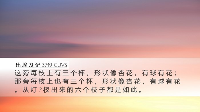 出 埃 及 记 37:19 CUVS Desktop Wallpaper - 这 旁 每 枝 上 有 三 个 杯 ， 形 状 - Desktop Bible Verse Wallpaper