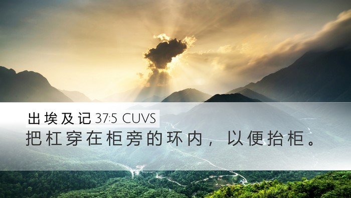 出 埃 及 记 37:5 CUVS Desktop Wallpaper - 把 杠 穿 在 柜 旁 的 环 内 ， 以 便 - Desktop Bible Verse Wallpaper