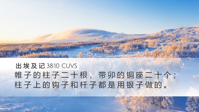 出 埃 及 记 38:10 CUVS Desktop Wallpaper - 帷 子 的 柱 子 二 十 根 ， 带 卯 的 - Desktop Bible Verse Wallpaper