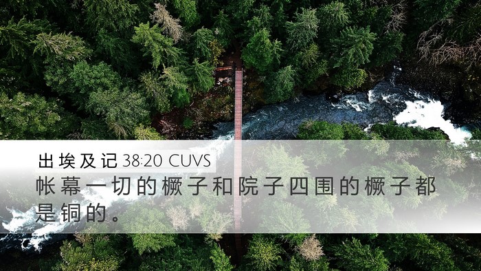 出 埃 及 记 38:20 CUVS Desktop Wallpaper - 帐 幕 一 切 的 橛 子 和 院 子 四 围 - Desktop Bible Verse Wallpaper