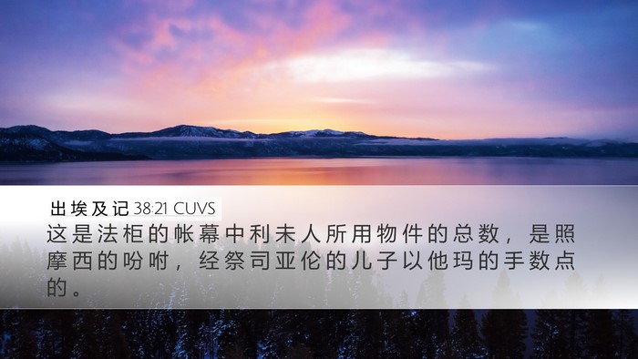 出 埃 及 记 38:21 CUVS Bible Verse Image