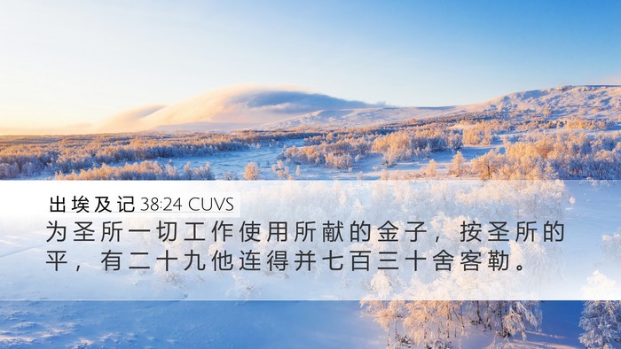 出 埃 及 记 38:24 CUVS Bible Verse Image