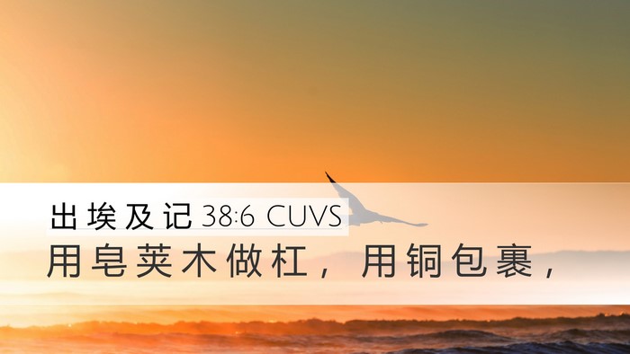 出 埃 及 记 38:6 CUVS Desktop Wallpaper - 用 皂 荚 木 做 杠 ， 用 铜 包 裹 - Desktop Bible Verse Wallpaper