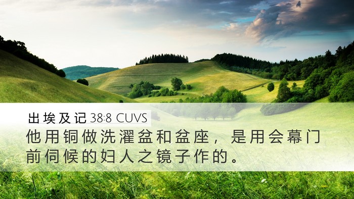 出 埃 及 记 38:8 CUVS Bible Verse Image