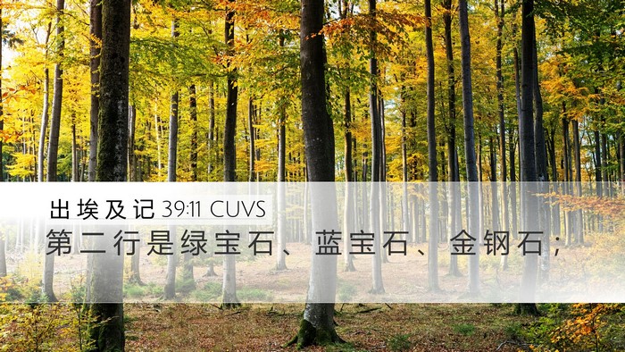 出 埃 及 记 39:11 CUVS Bible Verse Image