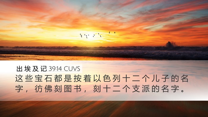 出 埃 及 记 39:14 CUVS Desktop Wallpaper - 这 些 宝 石 都 是 按 着 以 色 列 十 - Desktop Bible Verse Wallpaper