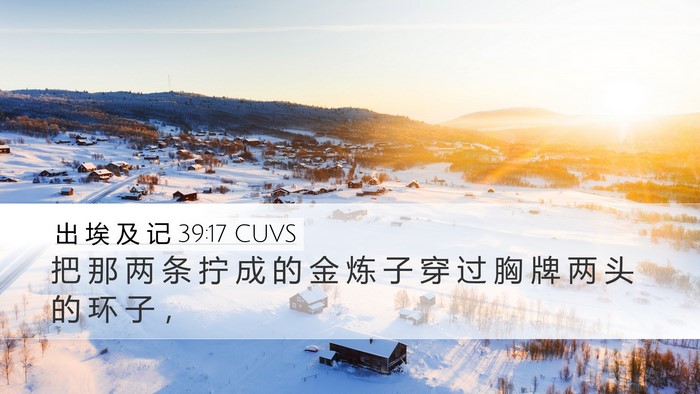出 埃 及 记 39:17 CUVS Desktop Wallpaper - 把 那 两 条 拧 成 的 金 炼 子 穿 过 - Desktop Bible Verse Wallpaper