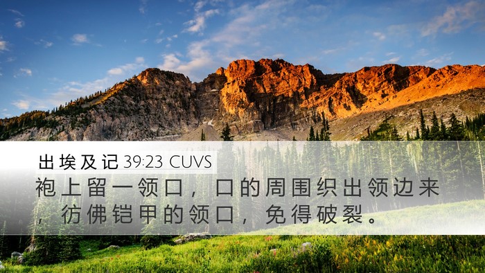 出 埃 及 记 39:23 CUVS Desktop Wallpaper - 袍 上 留 一 领 口 ， 口 的 周 围 织 - Desktop Bible Verse Wallpaper