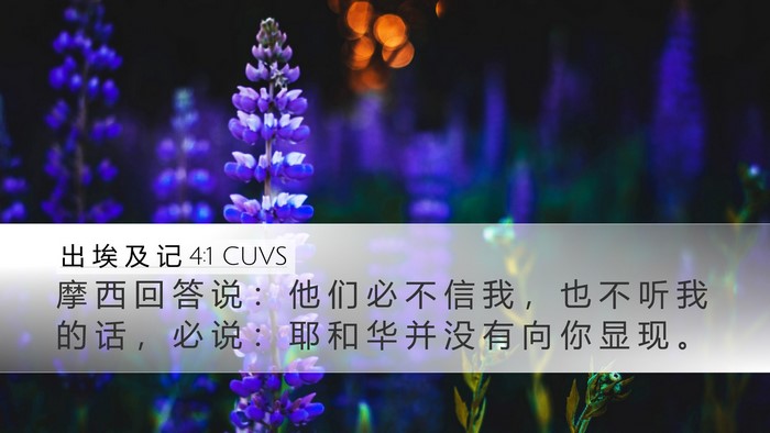 出 埃 及 记 4:1 CUVS Bible Verse Image