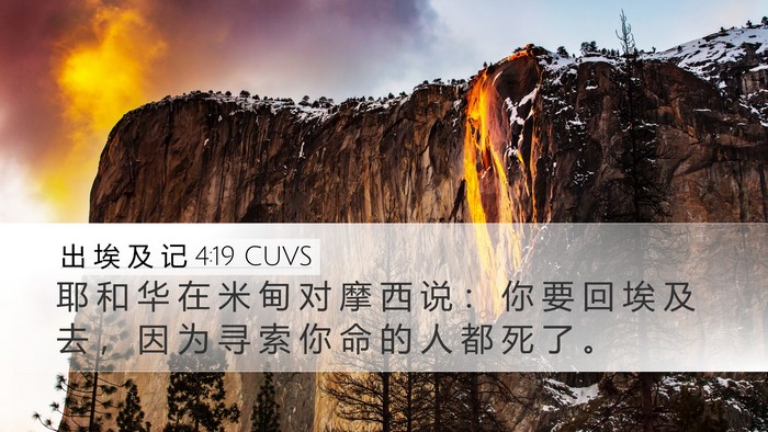 出 埃 及 记 4:19 CUVS Bible Verse Image