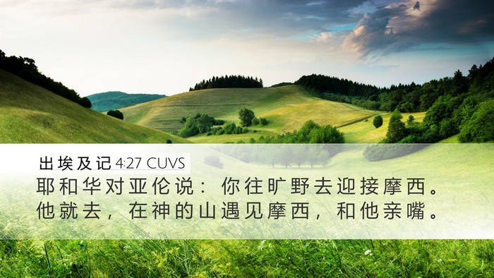 出 埃 及 记 4:27 CUVS Bible Verse Image