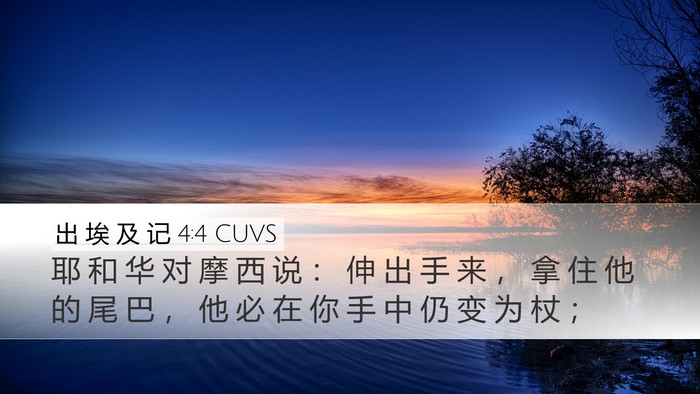 出 埃 及 记 4:4 CUVS Bible Verse Image