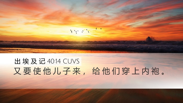 出 埃 及 记 40:14 CUVS Bible Verse Image