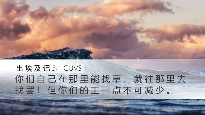 出 埃 及 记 5:11 CUVS Desktop Wallpaper - 你 们 自 己 在 那 里 能 找 草 ， 就 - Desktop Bible Verse Wallpaper