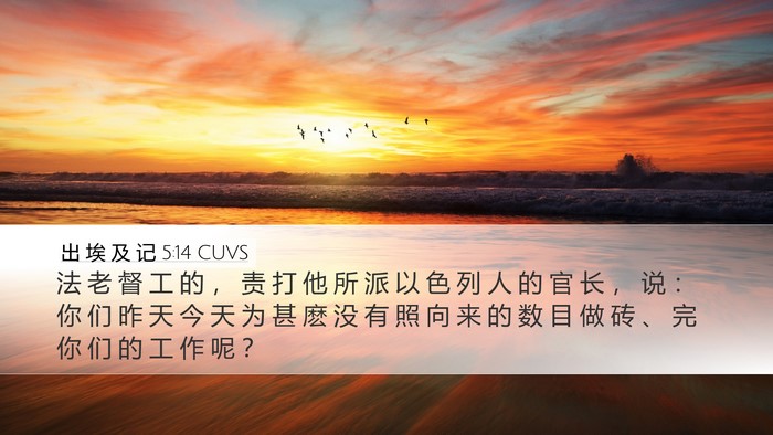 出 埃 及 记 5:14 CUVS Bible Verse Image
