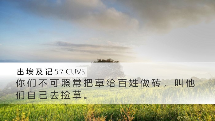出 埃 及 记 5:7 CUVS Desktop Wallpaper - 你 们 不 可 照 常 把 草 给 百 姓 做 - Desktop Bible Verse Wallpaper