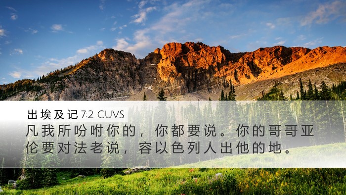 出 埃 及 记 7:2 CUVS Bible Verse Image
