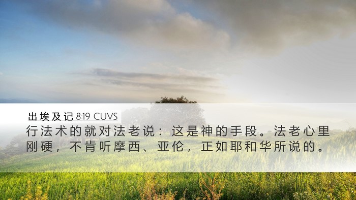 出 埃 及 记 8:19 CUVS Bible Verse Image
