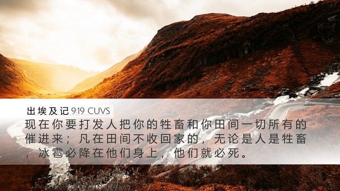 出 埃 及 记 9:19 CUVS Bible Verse Image