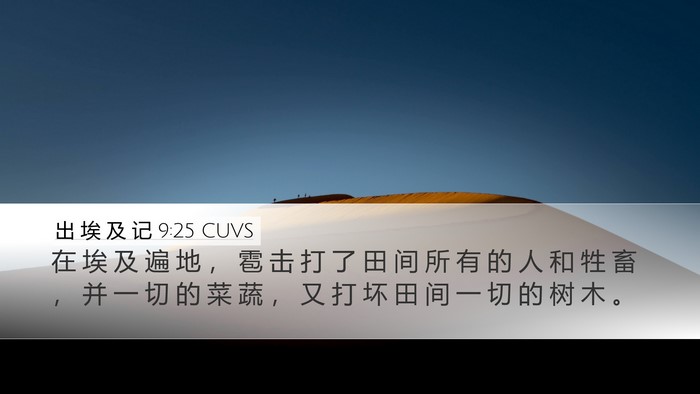 出 埃 及 记 9:25 CUVS Bible Verse Image