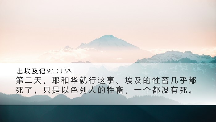出 埃 及 记 9:6 CUVS Desktop Wallpaper - 第 二 天 ， 耶 和 华 就 行 这 事 。 - Desktop Bible Verse Wallpaper