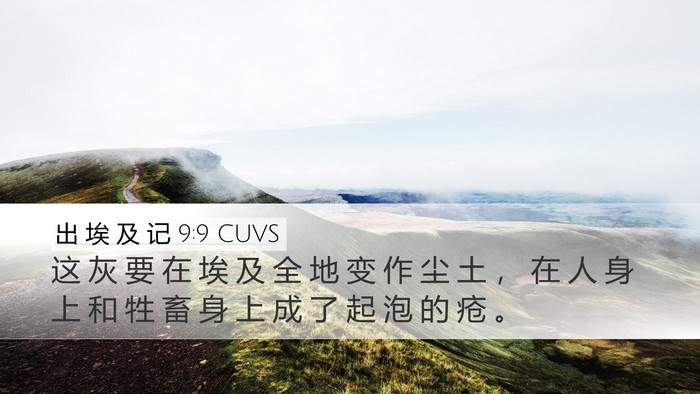 出 埃 及 记 9:9 CUVS Bible Verse Image